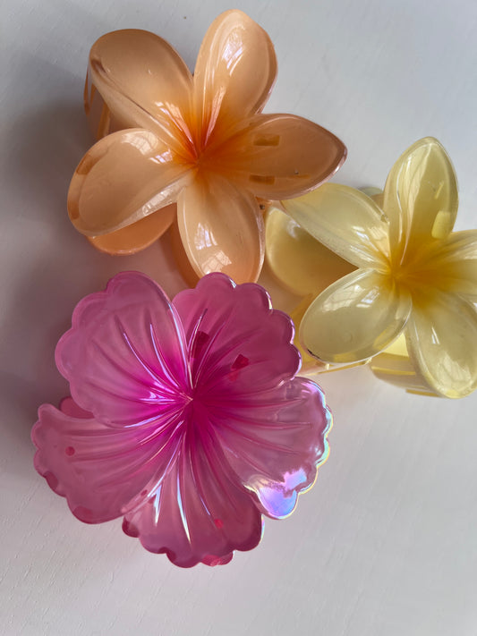 Hair clips 3